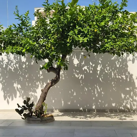 Porta Rudiae *